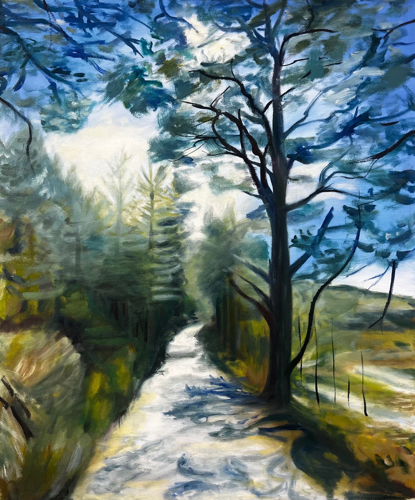 Winter path
